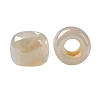 TOHO 8/0 Round Beads X-SEED-TR08-0901-3