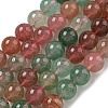 Natural Red and Green Strawberry Quartz Beads Strands G-B099-C03-06-1