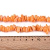 Dyed Natural Freshwater Shell Beads Strands BSHE-T014-55-4