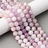 Natural Kunzite Beads Strands G-H313-01D-8mm-1