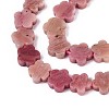 Natural Rhodonite Beads Strands G-N257-24A-09-4