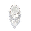 Woven Web/Net with Feather Wall Hanging Decorations PW-WG47321-01-3