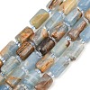 Natural Blue Calcite Beads Strands G-F836-B01-01-2