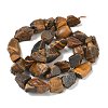 Raw Rough Natural Tiger Eye Beads Strands G-M453-D10-3