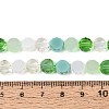 Electroplate Glass Beads Strands EGLA-N022-03A-A06-4