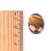 Natural Tiger Eye Cabochons PW-WGEFD9A-03-3