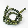Natural Taiwan Jade Beads Strands Z0NCT012-4