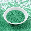 MIYUKI Round Rocailles Beads SEED-X0054-RR0225-2