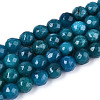 Dyed Natural White Jade Beads Strands X-G-T139-6mm-60-21-4
