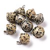 Natural Dalmatian Jasper Pendants G-B041-01P-06-1