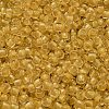 TOHO 6/0 Round Beads SEED-TR06-2151-3