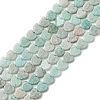 Natural Amazonite Beads Strands G-M403-A53-02-2