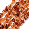 Natural Red Agate Beads Strands G-L655-A01-01B-2