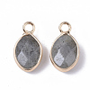 Natural Labradorite Pendants G-S359-014A-2