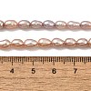 Natural Cultured Freshwater Pearl Beads Strands PEAR-I007-01P-04B-5