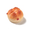 Opaque Resin Imitation Food Decoden Cabochons LS-CRES-A058-02D-2