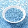 MIYUKI Round Rocailles Beads SEED-JP0008-RR1018-2