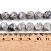 Natural Map Stone/Picasso Stone Beads Strands G-T141-03A-5