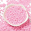 Baking Paint Glass Seed Beads SEED-B001-02A-15-3