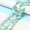 Natural Glass Beads Strands G-I247-34C-2
