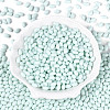 Baking Paint Glass Seed Beads SEED-T007-15K-1