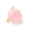 Transparent Acrylic Charms PALLOY-JF01603-02-5