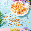 Mixed Styles Acrylic Beads SACR-TA0001-81C-5