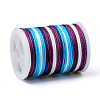 Segment Dyed Polyester Thread NWIR-I013-B-13-2
