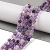 Natural Purple Fluorite Beads Strands X-G-P530-B08-01-1