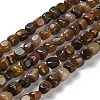 Natural Petrified Wood Beads Strands G-P497-01E-72-1