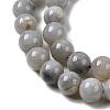 Natural Gemstone Beads Strands G-L641-A01-01-4