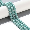 Natural Amazonite Beads Strands G-F602-02-8mm-5