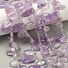 Natural Amethyst Beads Strands G-P604-A08-01-1