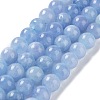 Dyed Natural Malaysia Jade Beads Strands G-G021-02C-07-2