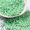 Glass Frosted Seed Beads SEED-K009-05B-05-1