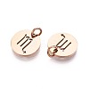 304 Stainless Steel Charms STAS-Q201-T445-8R-2