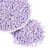 Opaque Glass Seed Beads SEED-N012-09A-13-1