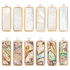 12Pcs 2 Styles Natural Paua Shell/Abalone Shell Pendants FIND-BC0013-35-1
