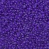MIYUKI Round Rocailles Beads SEED-G007-RR0176-3
