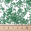 12/0 Glass Seed Beads SEED-A017-2mm-1114-3