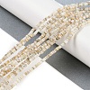 Natural Freshwater Shell Beads Strands BSHE-H109-13A-2