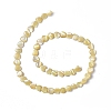 Natural Trochid Shell/Trochus Shell Beads Strands SHEL-F003-08C-2
