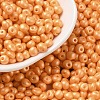6/0 Glass Seed Beads SEED-L011-08A-19-1