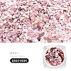 Nail Art Glitter Sequins AJEW-Q033-003K-2