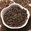 Baking Paint Glass Seed Beads SEED-A032-02A-18-2