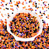 Halloween Theme Glass Seed Beads X-SEED-N007-13J-2