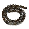 Natural Labradorite Beads Strands LS-G-I253-01-8mm-3