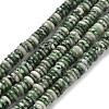 Natural Green Spot Jasper Beads Strands G-Q159-B35-01-2