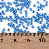 11/0 Czech Opaque Glass Seed Beads SEED-N004-003B-18-6
