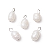 10Pcs 2 Colors Natural Cultured Freshwater Pearl Rice Charms PALLOY-JF03921-2